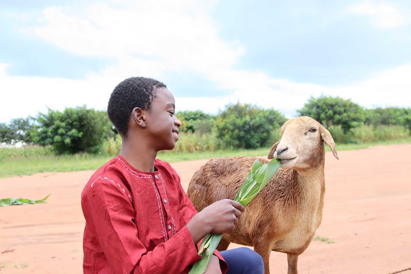 Kurbanlarınızı Afrikada Kesip, İhtiyaç Sahibi Ailelere Dağıttık